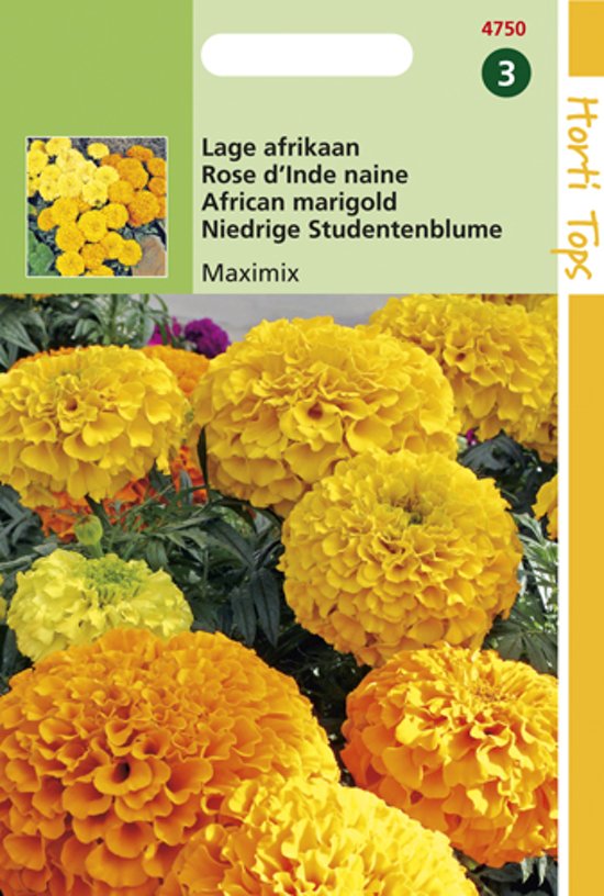 French marigold Maximix (Tagetes erecta) 150 seeds